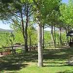 La Pedania Y - Camping Ligüerre de Cinca