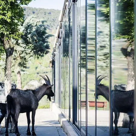 مكان تخييم La Pedania Y - 4*