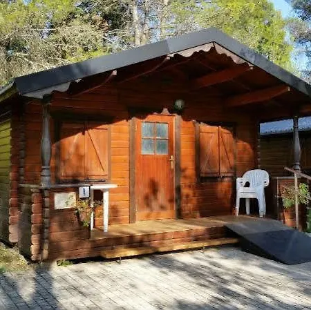 La Pedania Y - مكان تخييم Ligüerre de Cinca