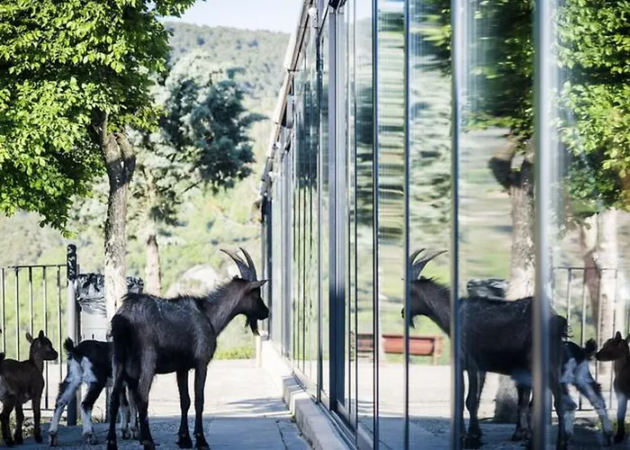 Camping La Pedania Y - 4*