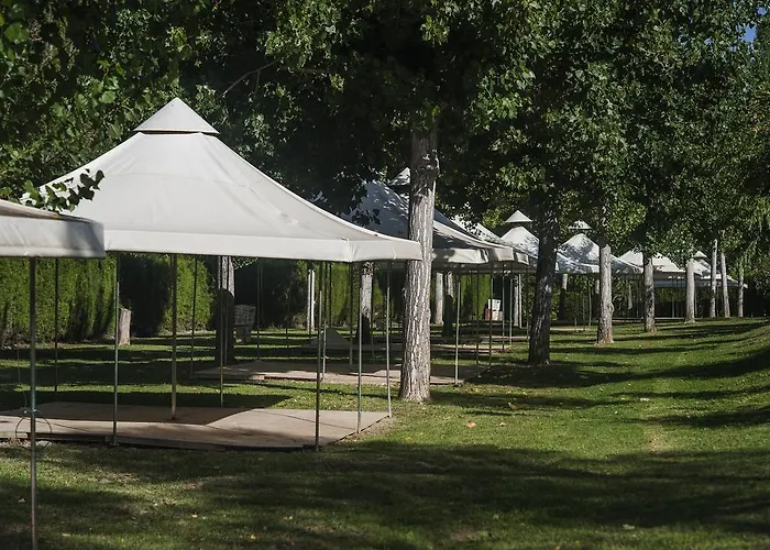 La Pedanía Y - Ligüerre de Cinca